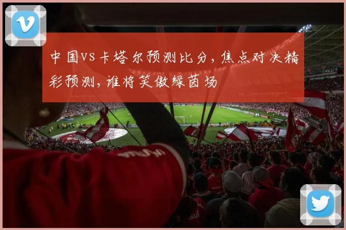 中国vs卡塔尔预测比分,焦点对决精彩预测,谁将笑傲绿茵场