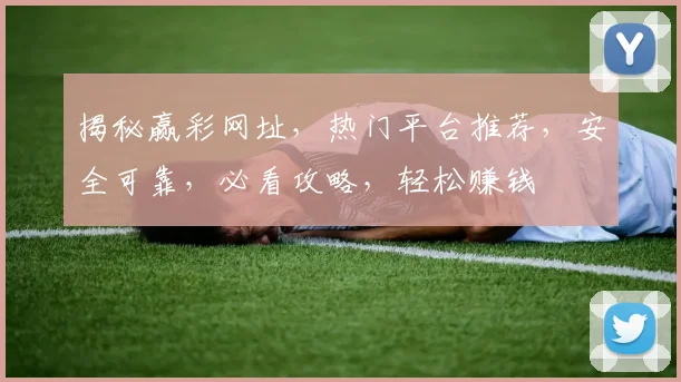 揭秘赢彩网址，热门平台推荐，安全可靠，必看攻略，轻松赚钱